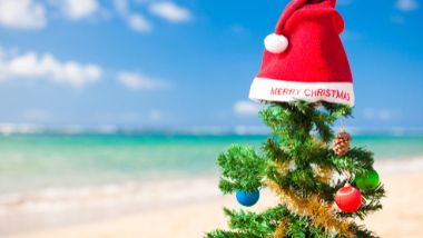 Christmas Tree on a beach